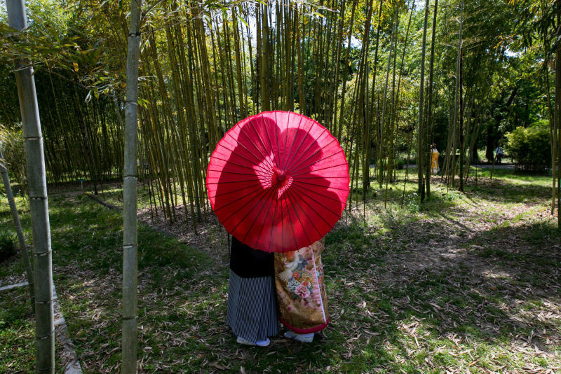 花嫁和婚_投稿写真