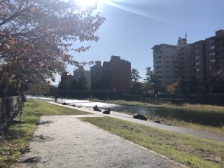 フォトスタジオ カクタス_アドバイス写真