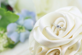 フォトスタジオ カクタス_アドバイス写真