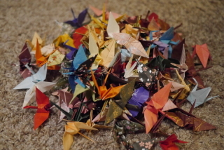 京都好日_アドバイス写真