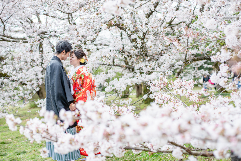 京都好日_投稿写真