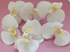 ラヴィファクトリー京都店_アドバイス写真