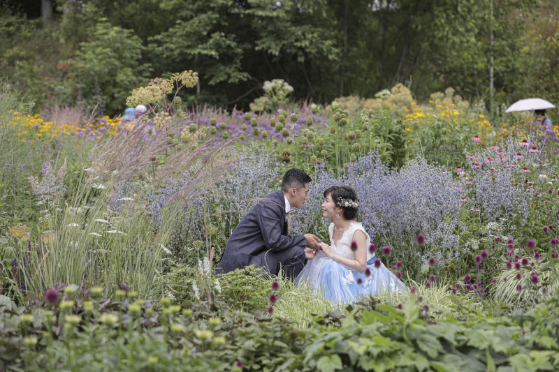 STUDIO SOLA 美瑛店（スタジオSOLA）_投稿写真