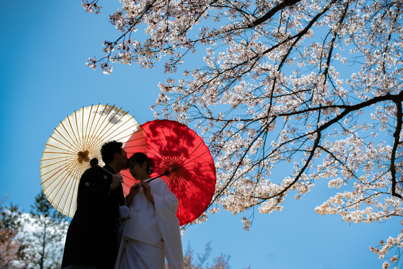 京都好日_投稿写真