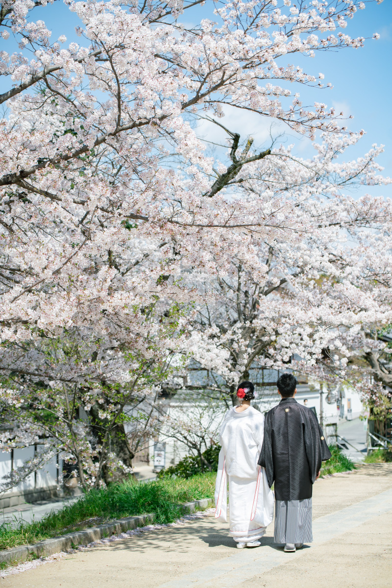 京都好日_投稿写真