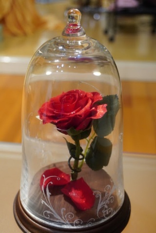 SOPHIA（ソフィア）_アドバイス写真