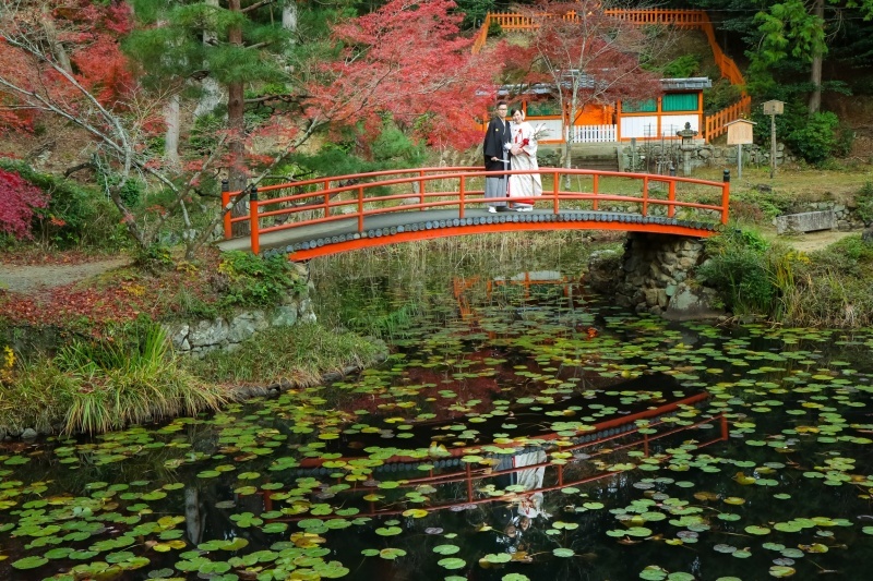 スマイルハンター_投稿写真