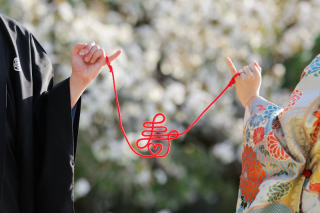 elle pupa_アドバイス写真