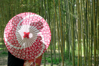 ハルウェディング_アドバイス写真