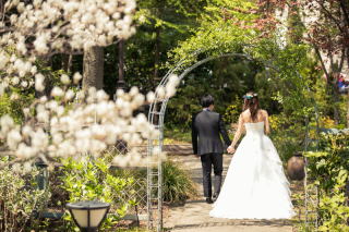 Vivid_アドバイス写真