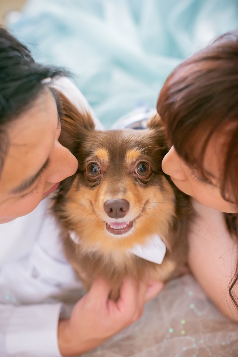 My Little Studio by BRIDES_投稿写真