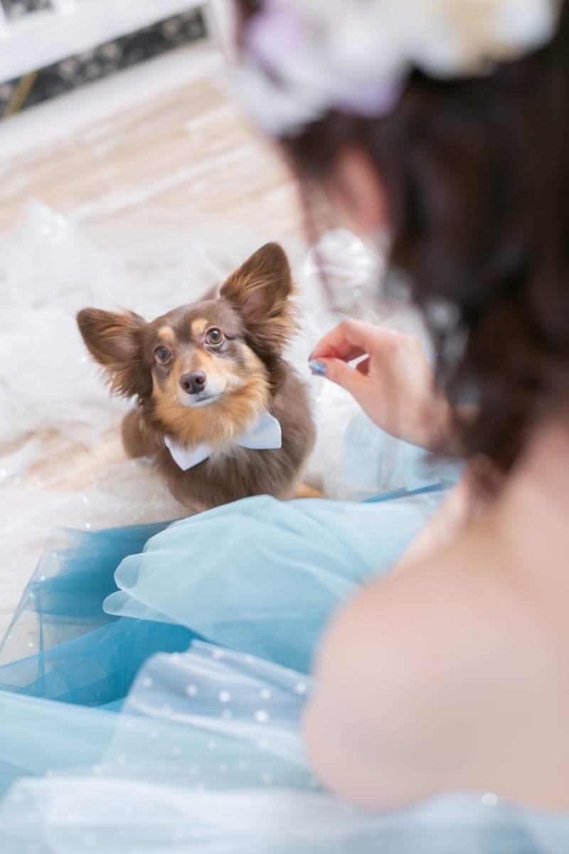 My Little Studio by BRIDES_投稿写真