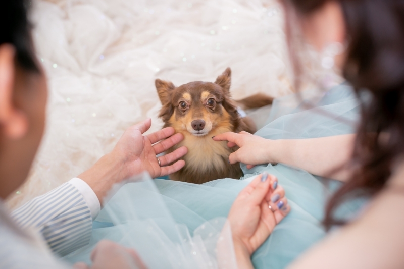 My Little Studio by BRIDES_投稿写真