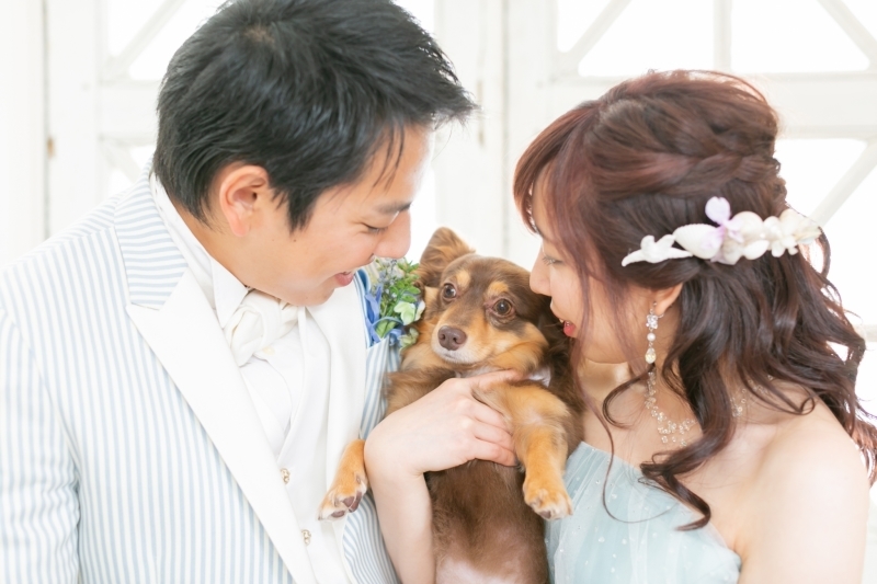 My Little Studio by BRIDES_投稿写真