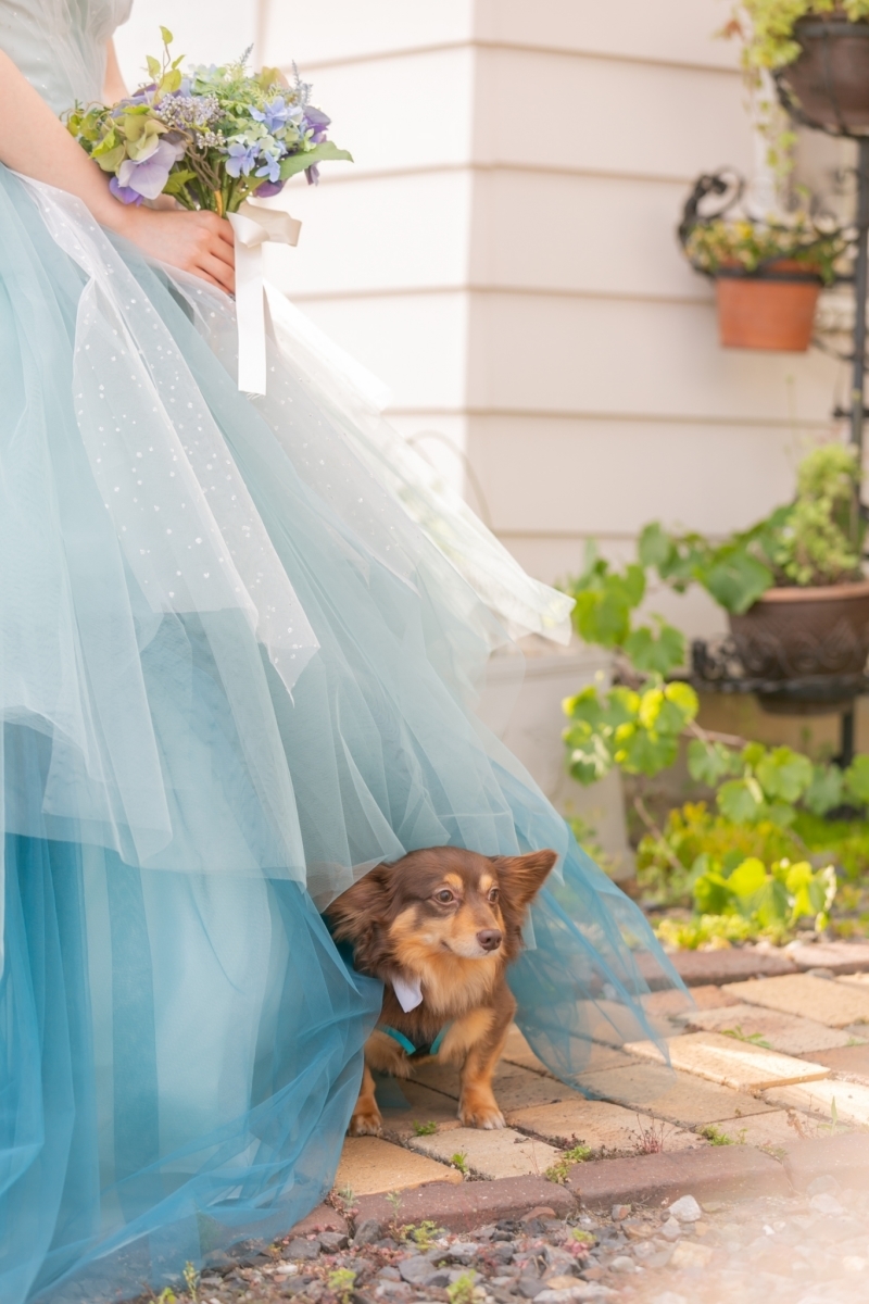 My Little Studio by BRIDES_投稿写真