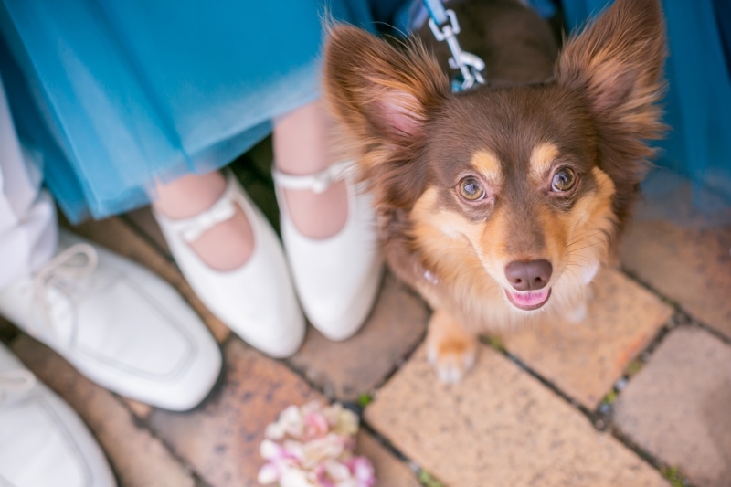 My Little Studio by BRIDES_投稿写真
