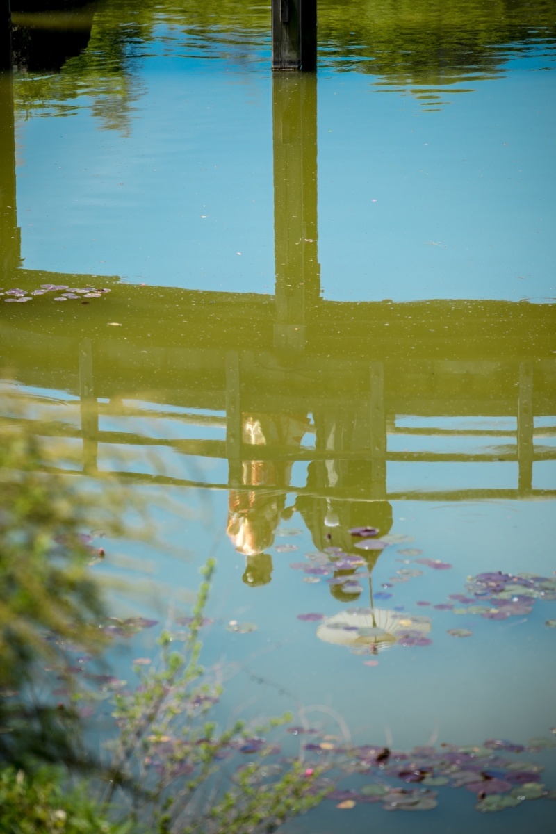 華雅苑　新越谷店_投稿写真