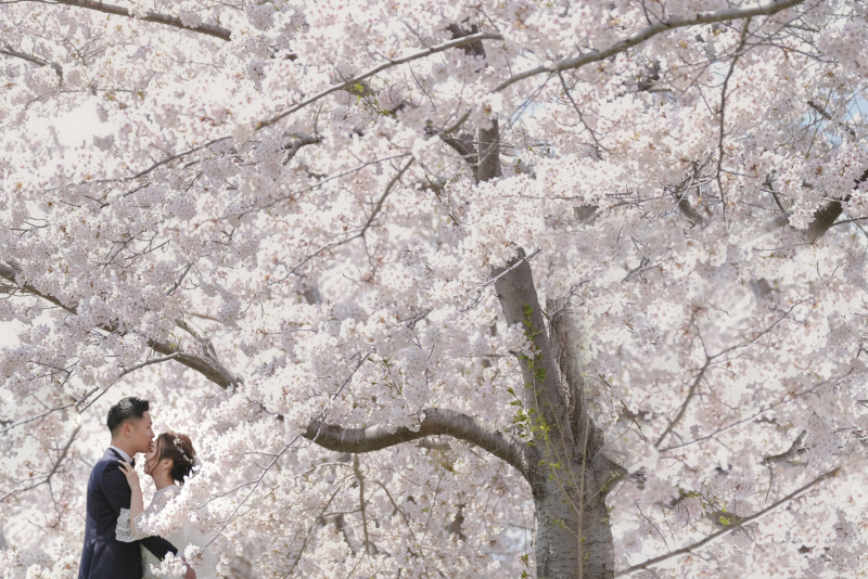 スタジオフォトス_投稿写真