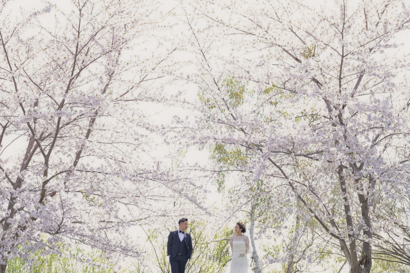 桜でロケーション♫_9717_投稿写真_1