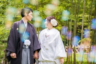 Vivid_アドバイス写真