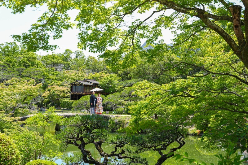 フォトスタジオ　ブライズメイド_投稿写真