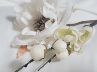 京都好日_アドバイス写真