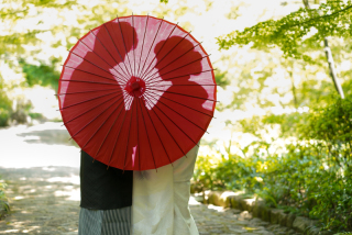 Vivid_アドバイス写真