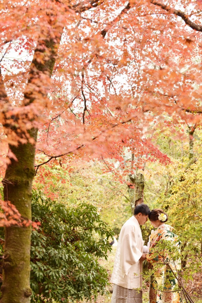 三重平安閣グループ Photo Studio Link　_投稿写真