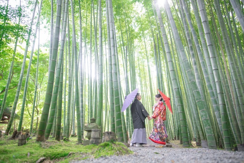 京都好日_投稿写真