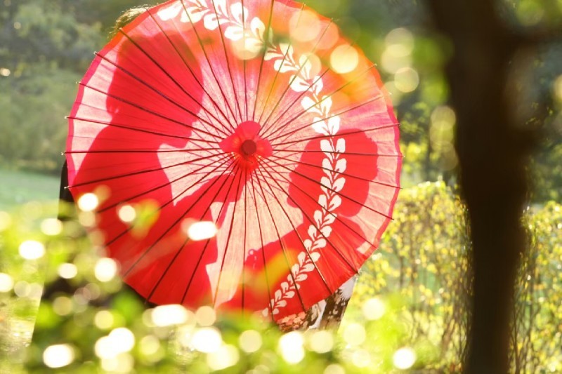 東京装苑_投稿写真