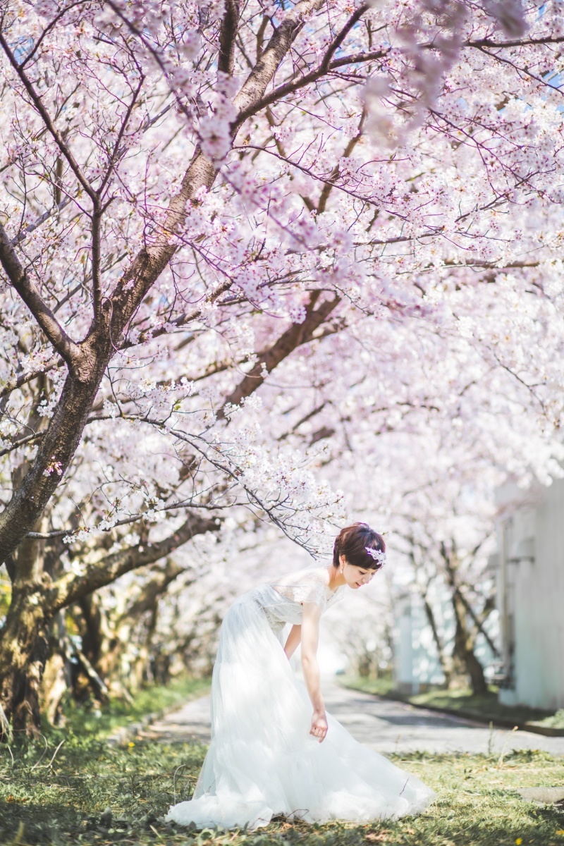 Photo&Movie Colors_投稿写真