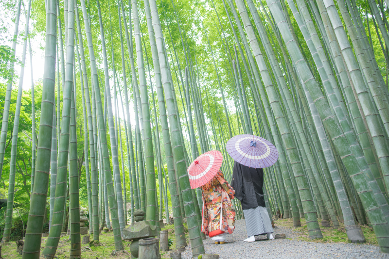 京都好日_投稿写真