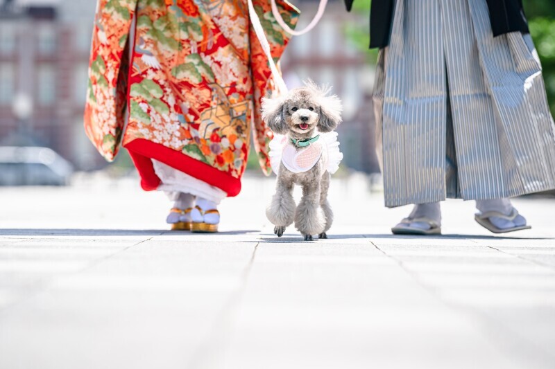 W Photography_投稿写真