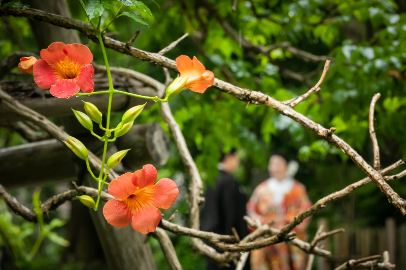 縁-enishi-鎌倉ウエディング_投稿写真