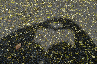 和婚ネット_アドバイス写真