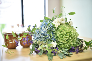 スタジオライト_アドバイス写真