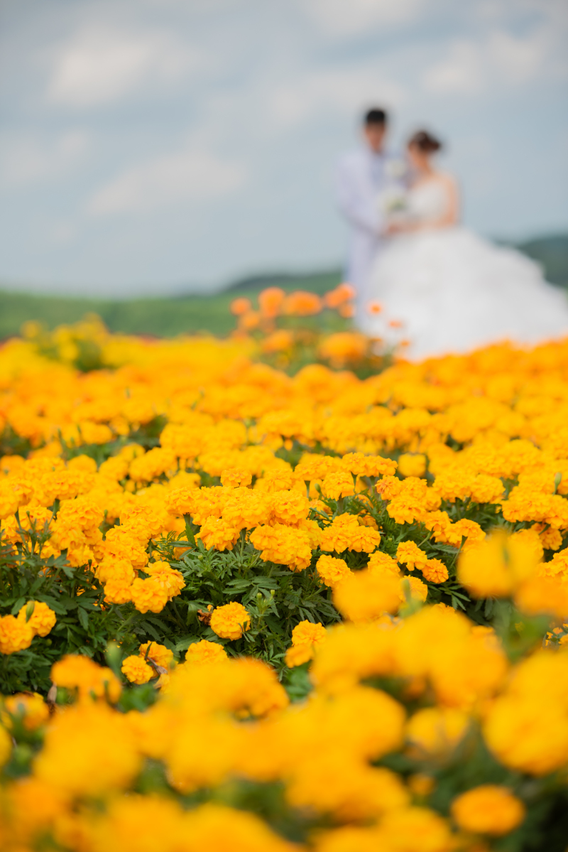 丘のうえ（Hills Studio）_投稿写真