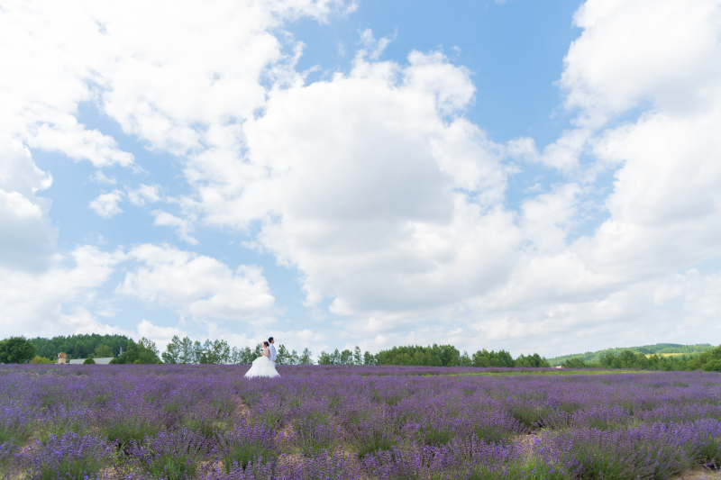 丘のうえ（Hills Studio）_投稿写真