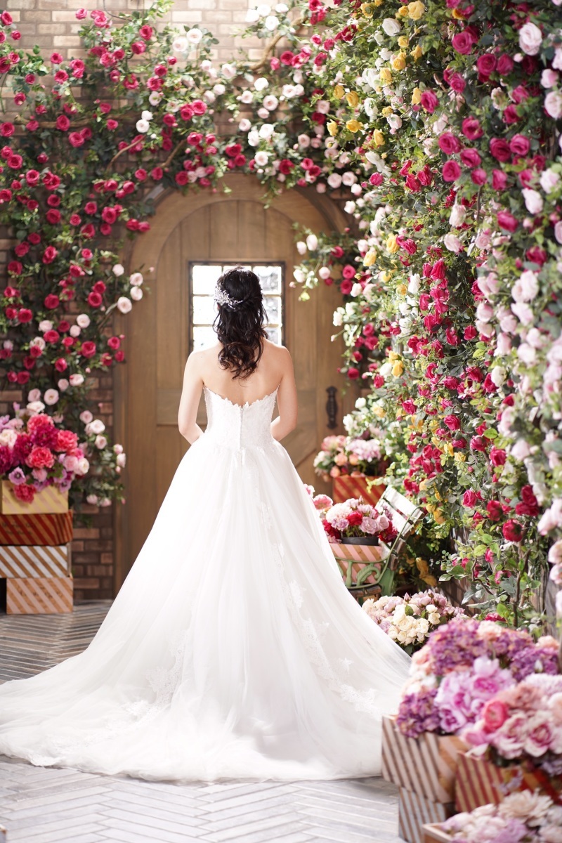 studio LUMINOUS お台場_投稿写真