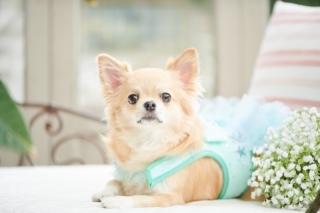 サロンドパルール　salon de parure_アドバイス写真