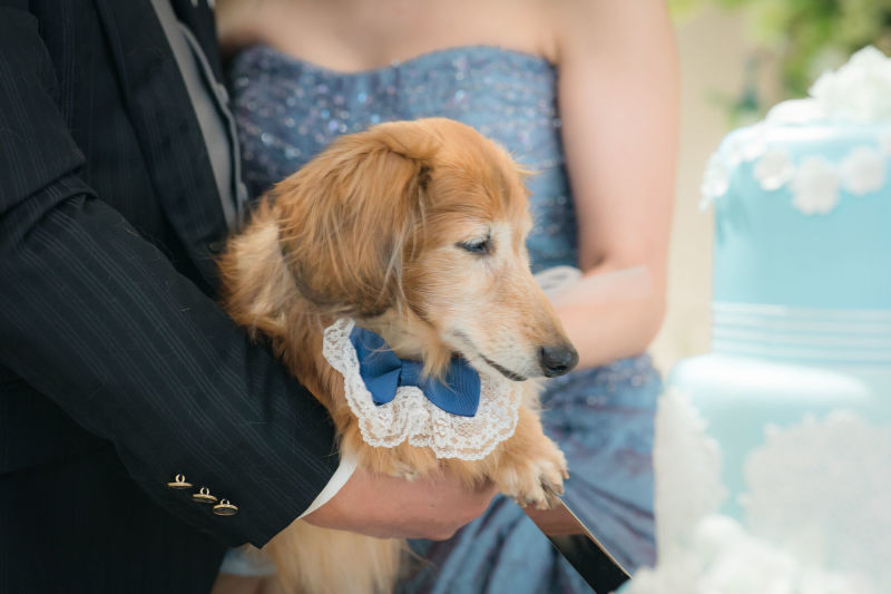 小さな結婚式　名古屋店_投稿写真