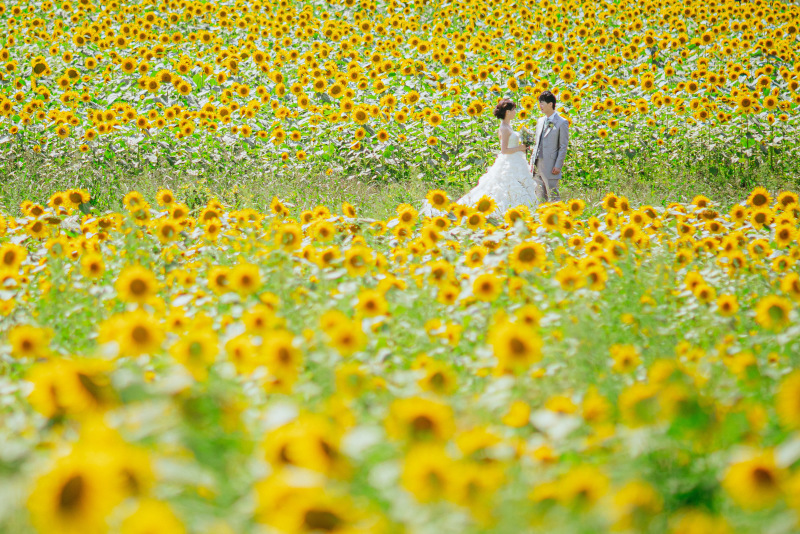 ウエディングドレス クロエ_投稿写真