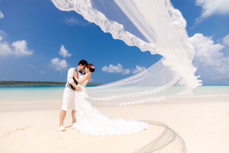 最高の１枚が撮れました！_11176_投稿写真_1