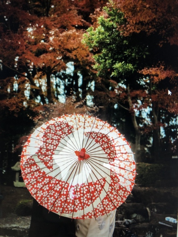 STUDIO TVB りんくう店 (DECOLLTE &Company)_投稿写真