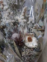 ハルウェディング_アドバイス写真