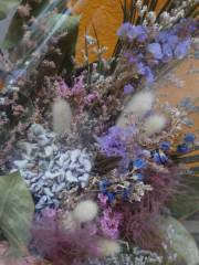 ハルウェディング_アドバイス写真