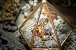 aedam_アドバイス写真