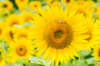 Tabi Photo Wedding&reg;︎ -北野サロン＆淡路島スタジオcadeau- _アドバイス写真