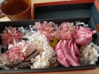 studio LUMINOUS お台場_アドバイス写真