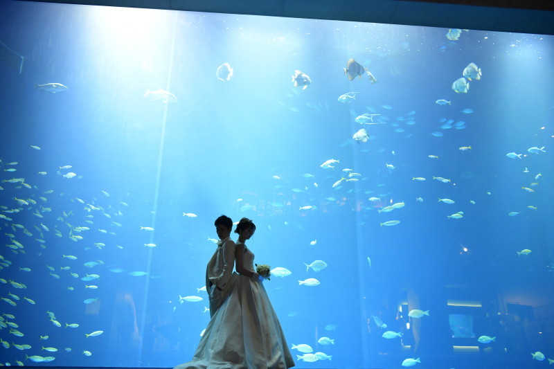 マリアージュ　ことぶき_投稿写真